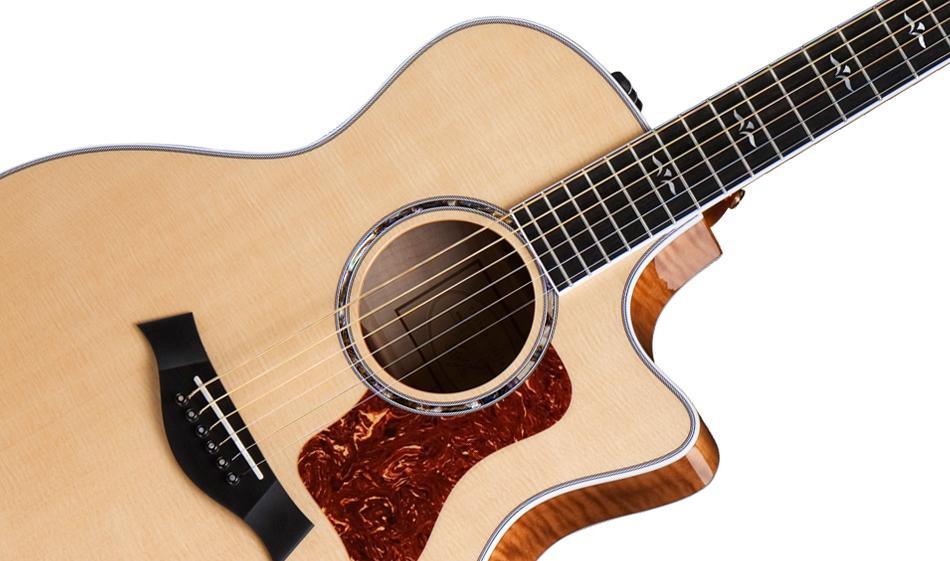 Acoustic Guitars - ProTone Music Limited
