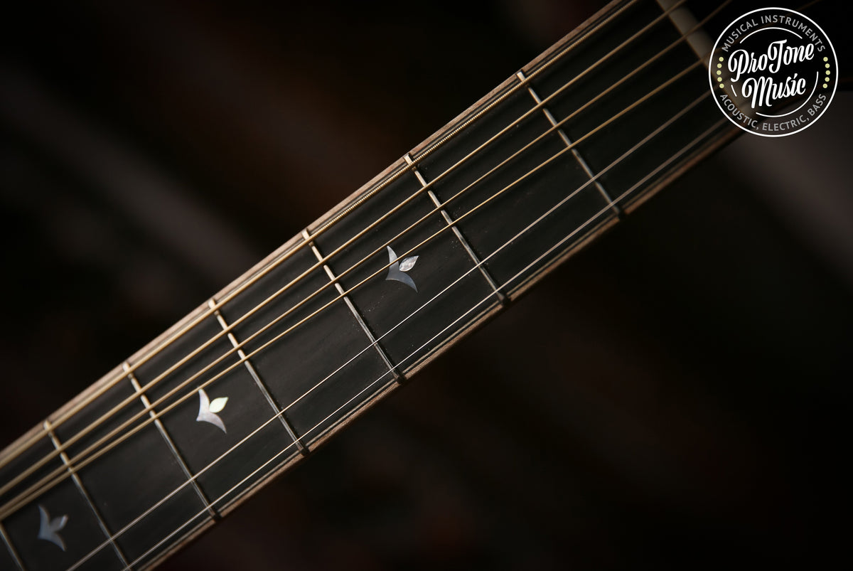 Eastman DT30 GACE Electro Acoustic Guitar - ProTone Music